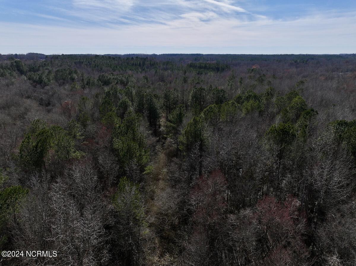 657 Collins Mill Road Castalia, NC 27816 - Photo 84 of 148 DJI_20240220142701_0878_D
