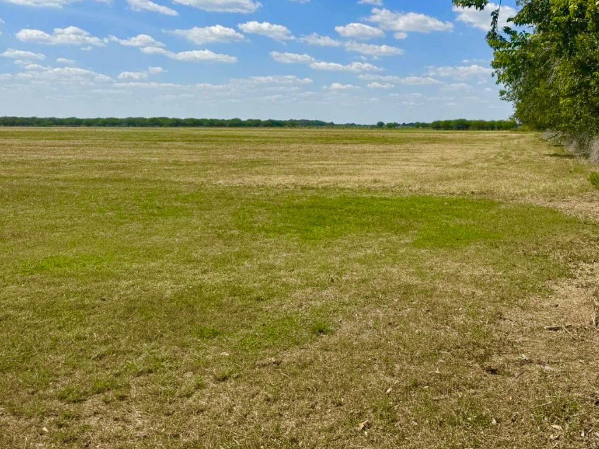 0 Philip Evan Road Needville, TX 77461 - Photo 11 of 14 a view of an ocean from a yard