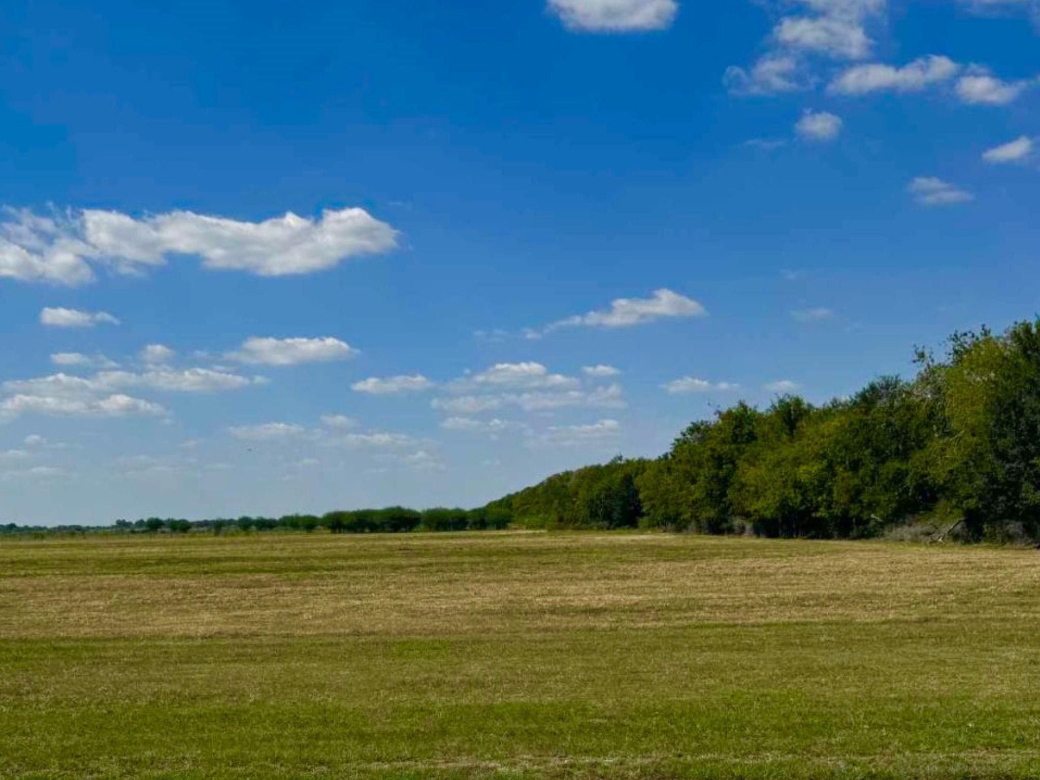 0 Philip Evan Road Needville, TX 77461 - Photo 12 of 14 a view of an ocean and beach
