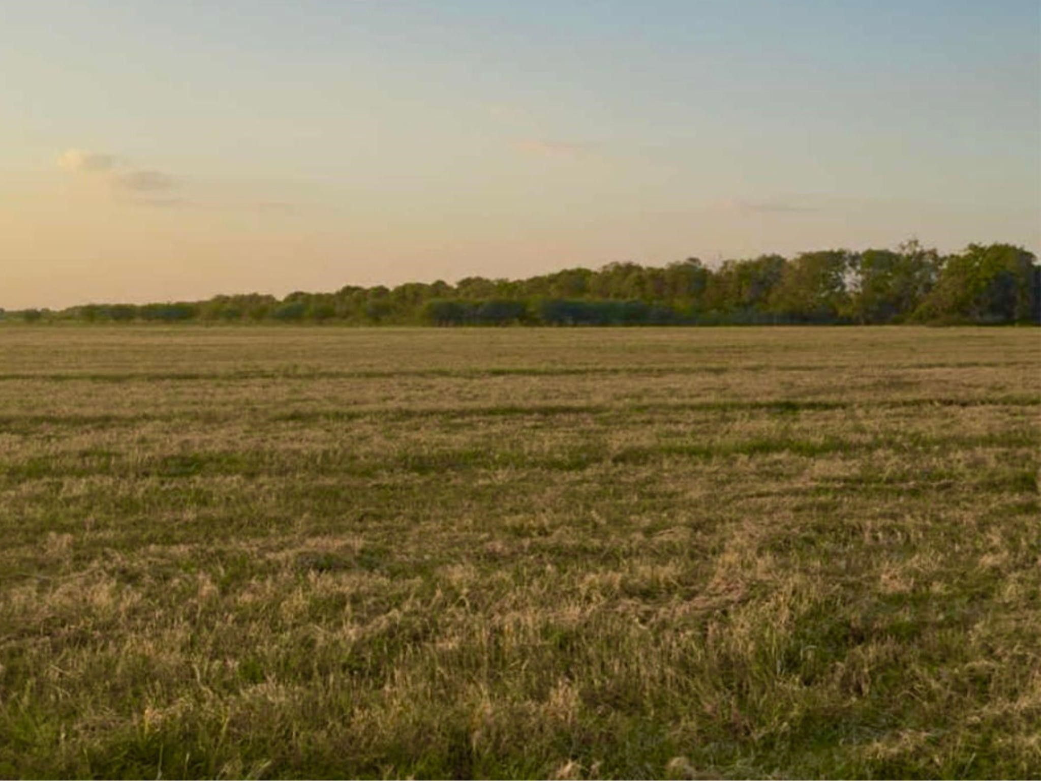 0 Philip Evan Road Needville, TX 77461 - Photo 9 of 14 a view of lake