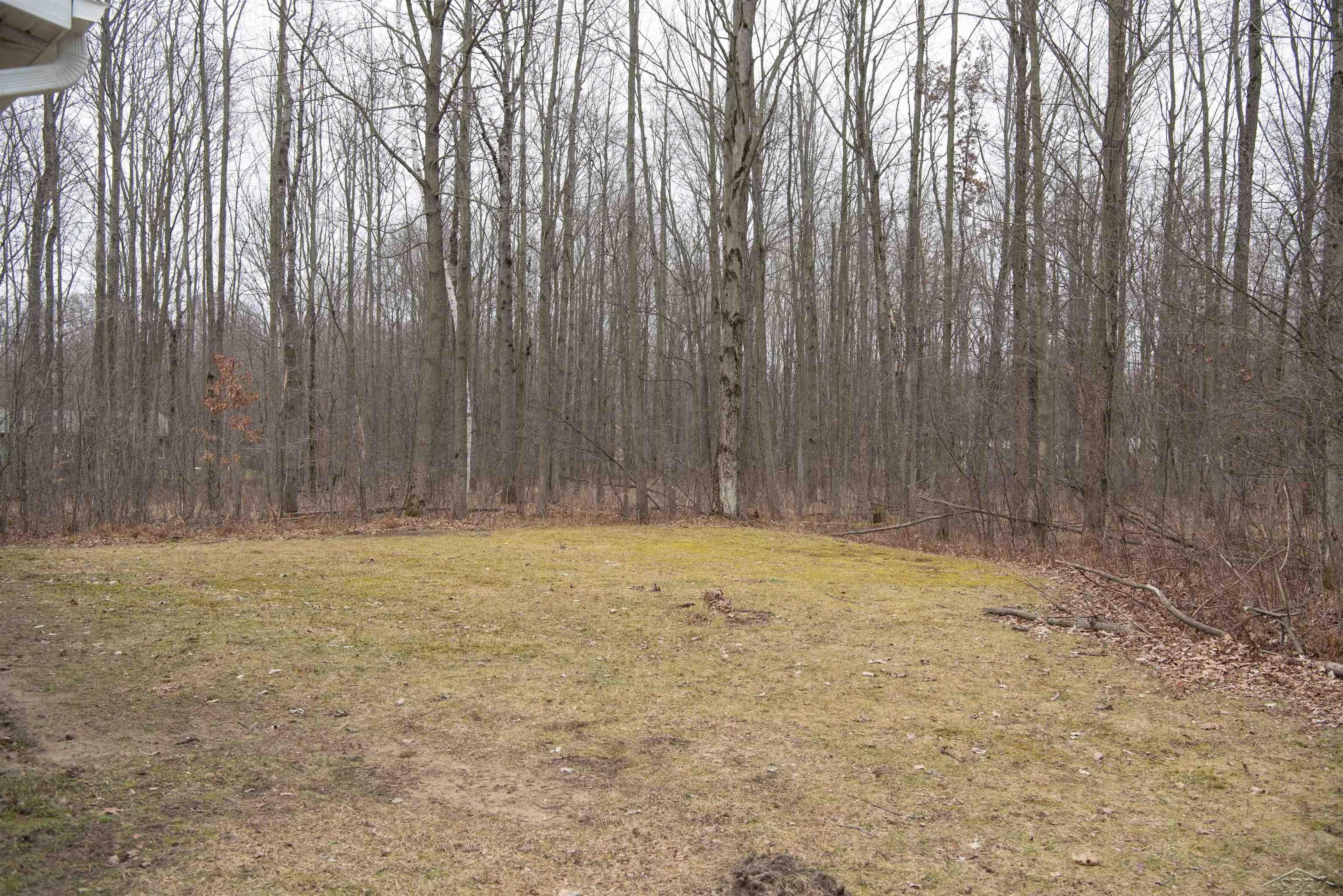1041 West Gordonville Road Midland, MI 48640 - Photo 24 of 25 50099074-23.JPG