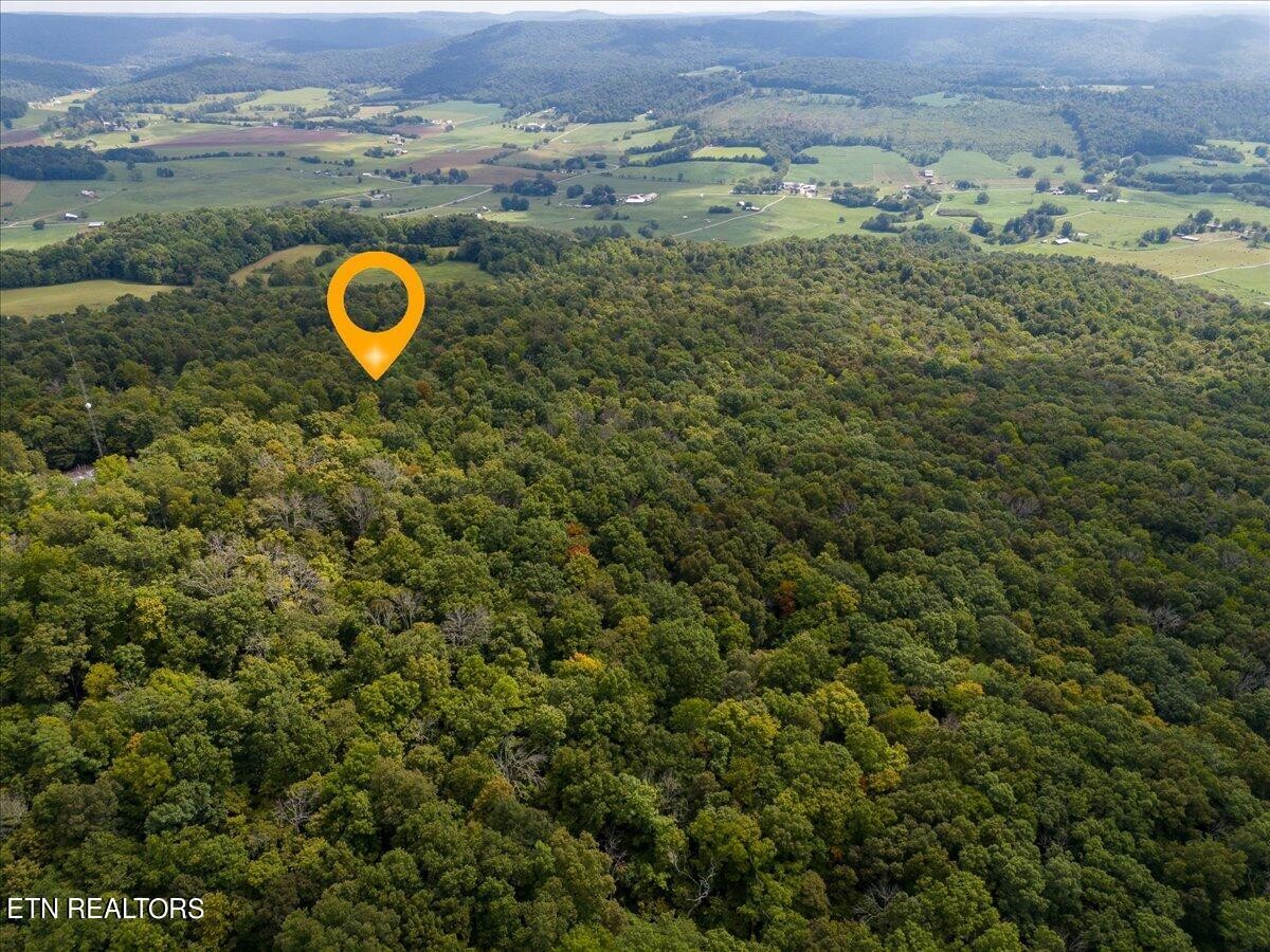 0 Fire Tower 23.2 Ac Road Sparta, TN 38583 - Photo 13 of 18 Gallery Image 13