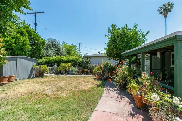 a view of a backyard with potted plants and large tree