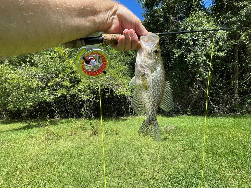 8471 Salem Road Pavo, GA 31778 - Photo 55 of 71 Have a Crappie Day!