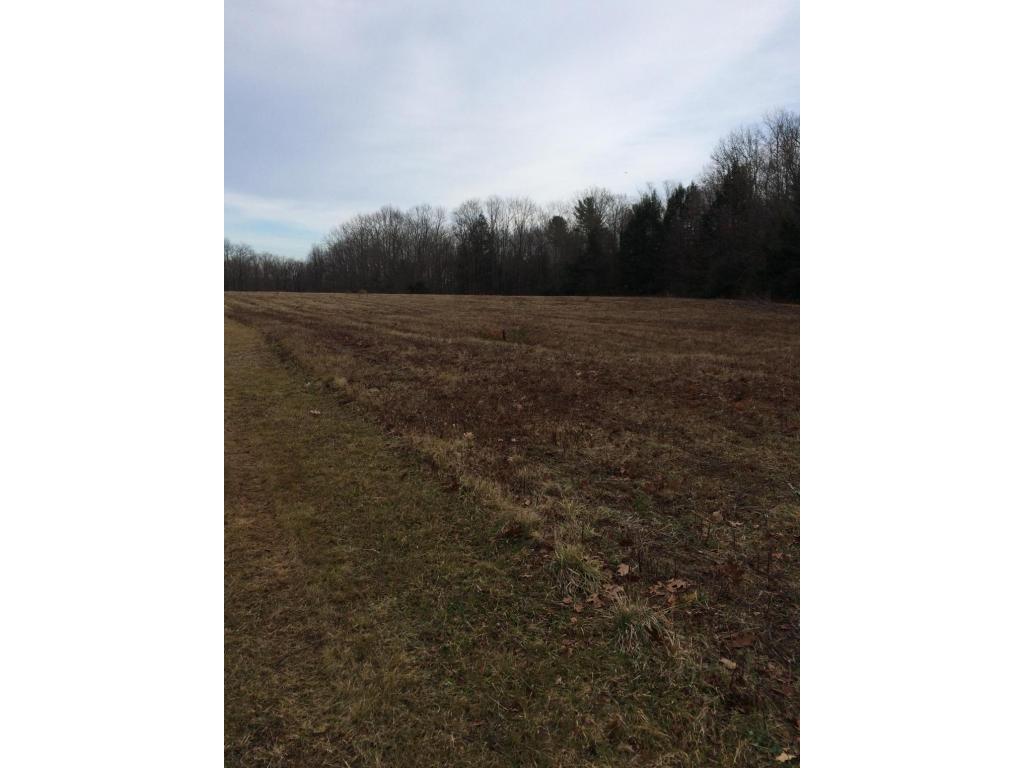 163 Reed Road Berkshire, NY 13736 - Photo 1 of 13 Gallery Image 1