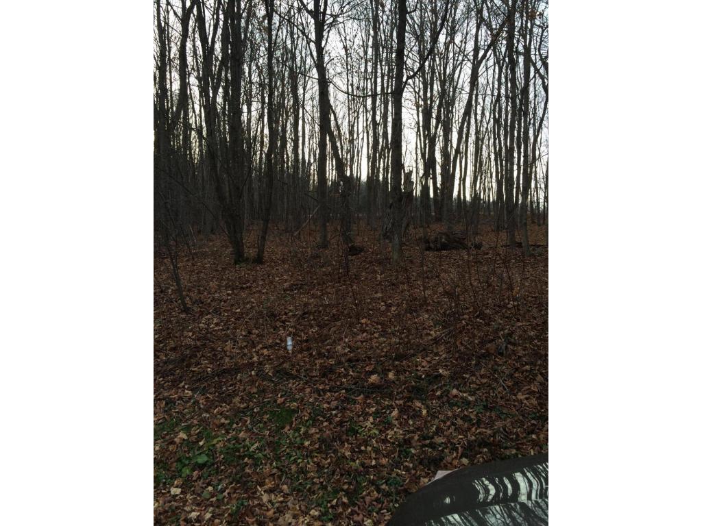 163 Reed Road Berkshire, NY 13736 - Photo 11 of 13 Gallery Image 11