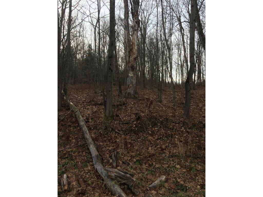 163 Reed Road Berkshire, NY 13736 - Photo 12 of 13 Gallery Image 12