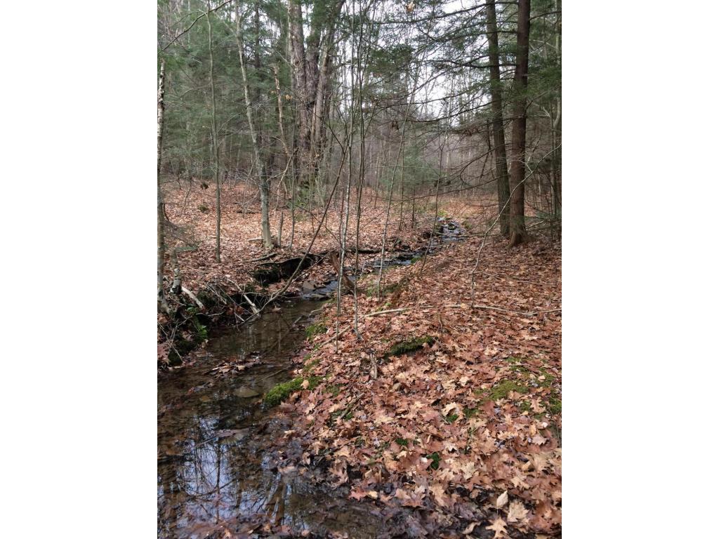 163 Reed Road Berkshire, NY 13736 - Photo 5 of 13 Gallery Image 5