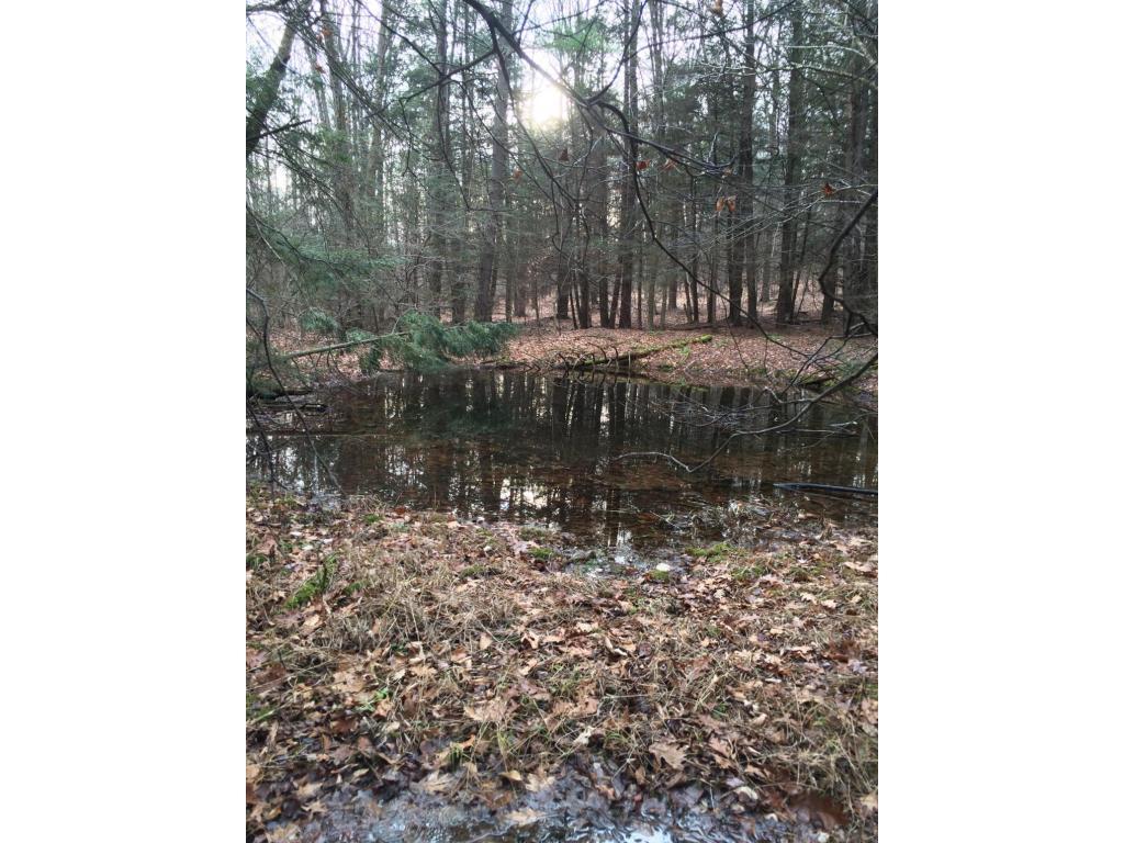 163 Reed Road Berkshire, NY 13736 - Photo 7 of 13 Gallery Image 7