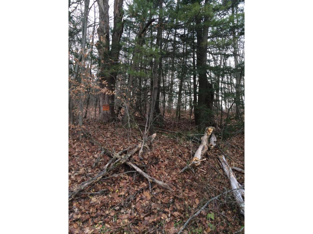 163 Reed Road Berkshire, NY 13736 - Photo 8 of 13 Gallery Image 8
