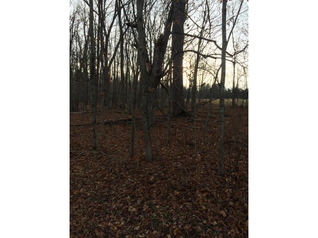 163 Reed Road Berkshire, NY 13736 - Photo 9 of 13 Gallery Image 9