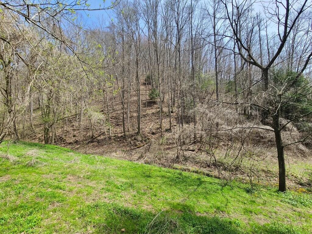 Tbd Rollercoaster Road Honaker, VA 24260 - Photo 5 of 20 Roller Coaster Rd_5