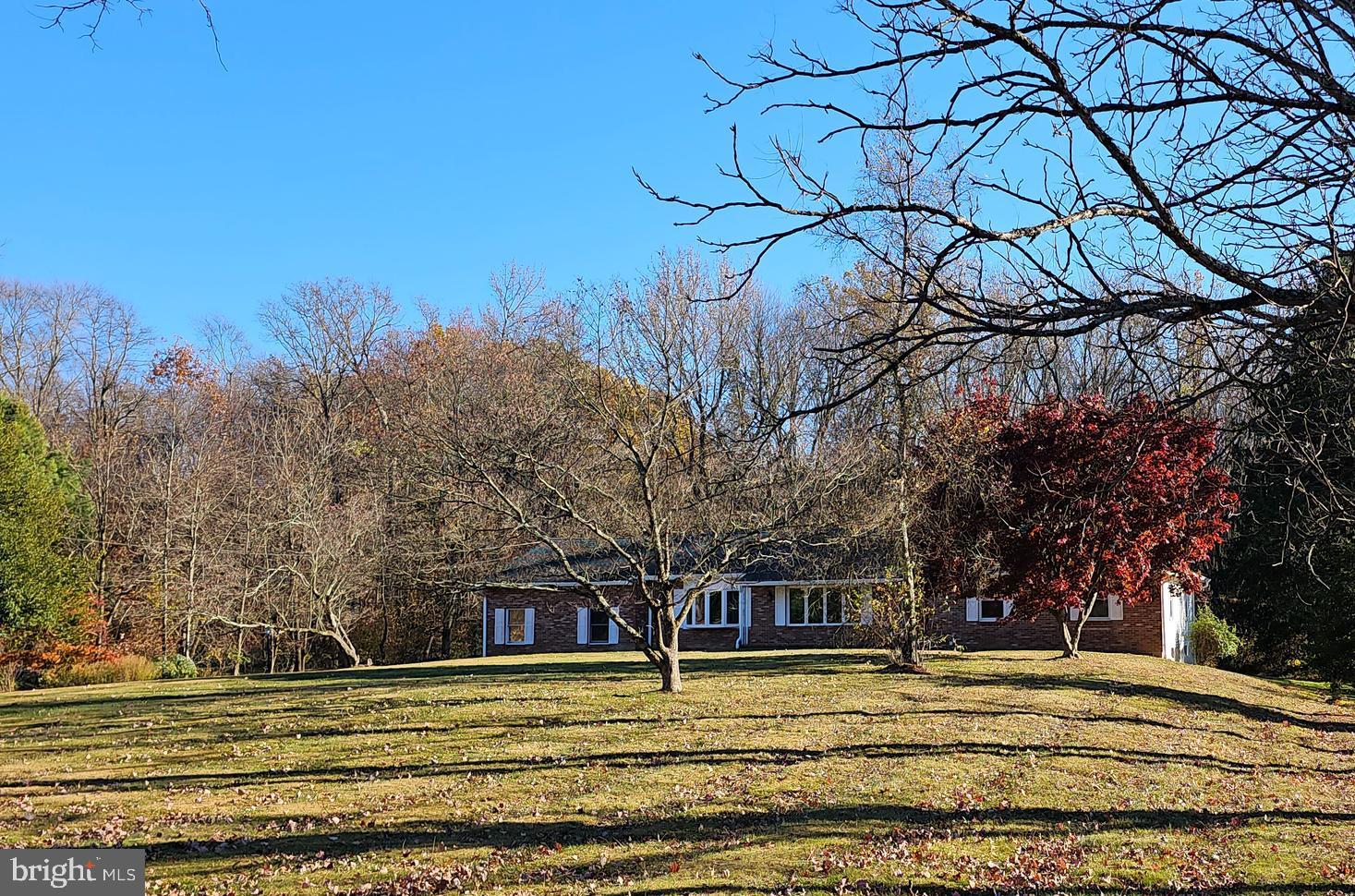 181 Edgebrook Road Robbinsville, NJ 08691 - Photo 12 of 67 a view of a trees in a yard