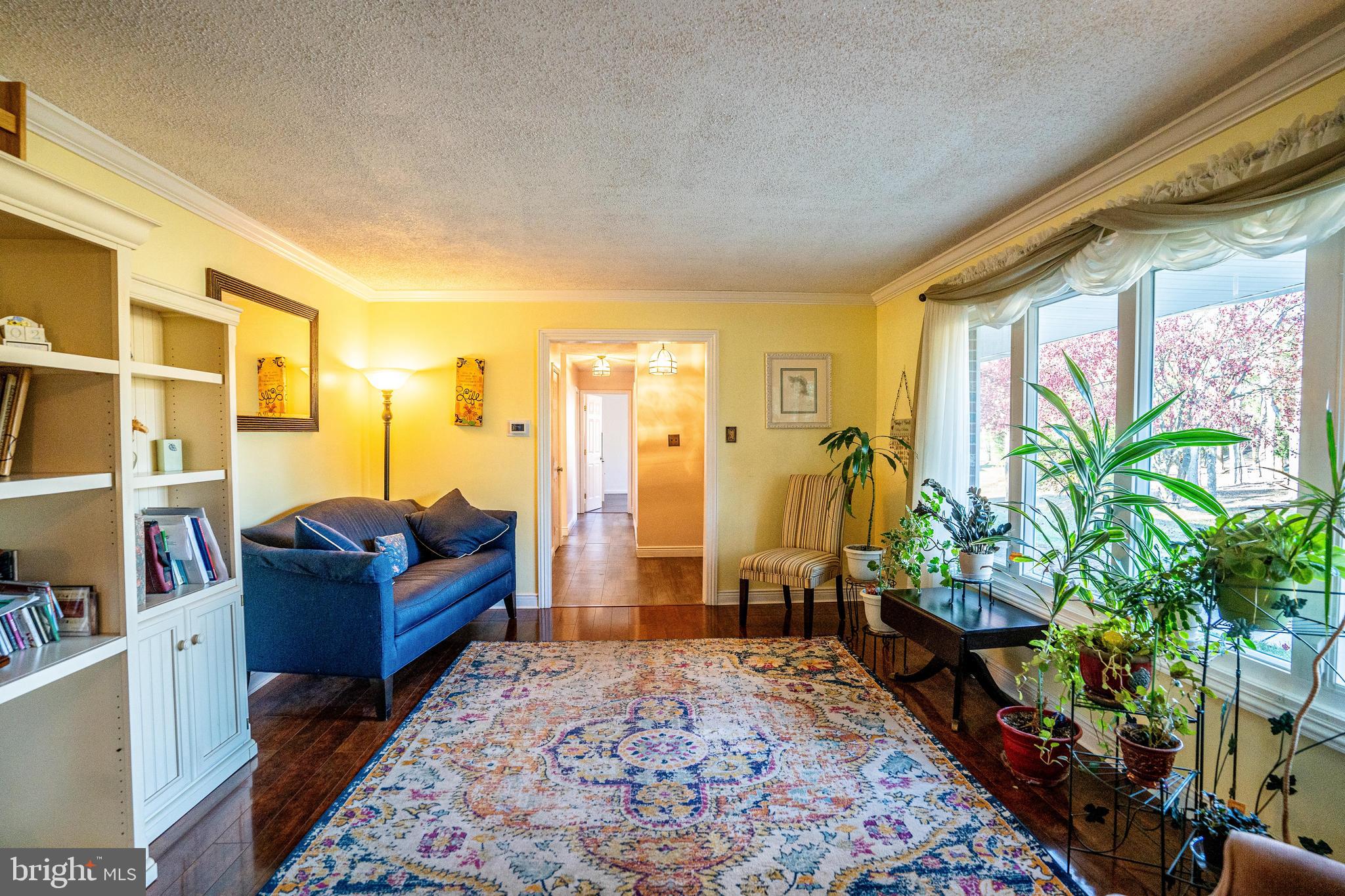 181 Edgebrook Road Robbinsville, NJ 08691 - Photo 41 of 67 a living room with furniture and a potted plant