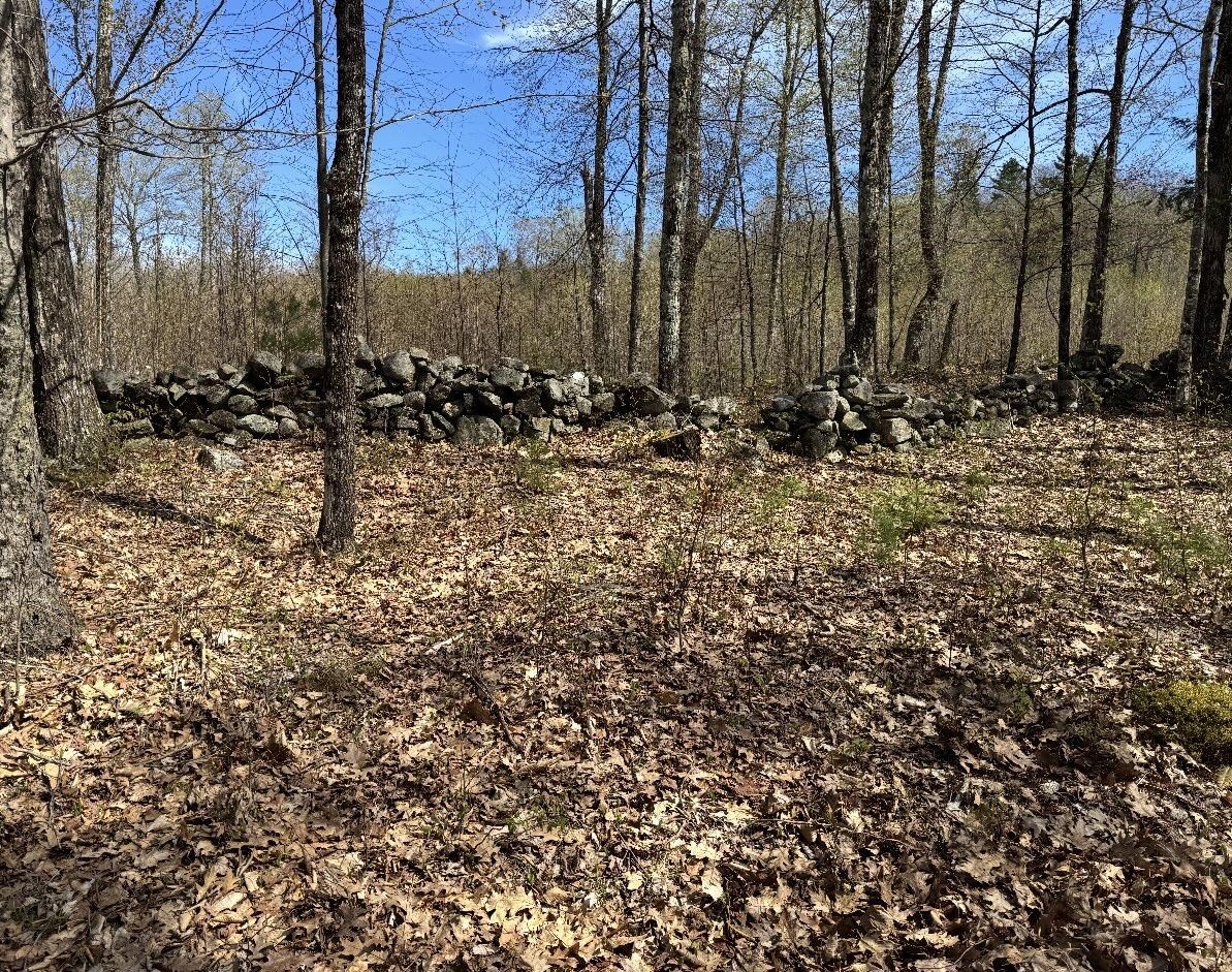 0 Black North Road Acworth, NH 03601 - Photo 2 of 17
