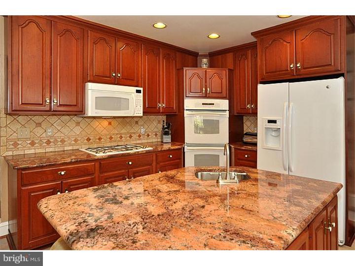 342 Fisher Road Jenkintown, PA 19046 - Photo 7 of 21 Kitchen