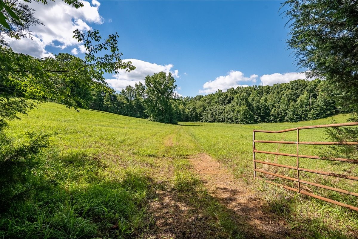 1630 Johnson Branch Road Pulaski, TN 38478 - Photo 3 of 43