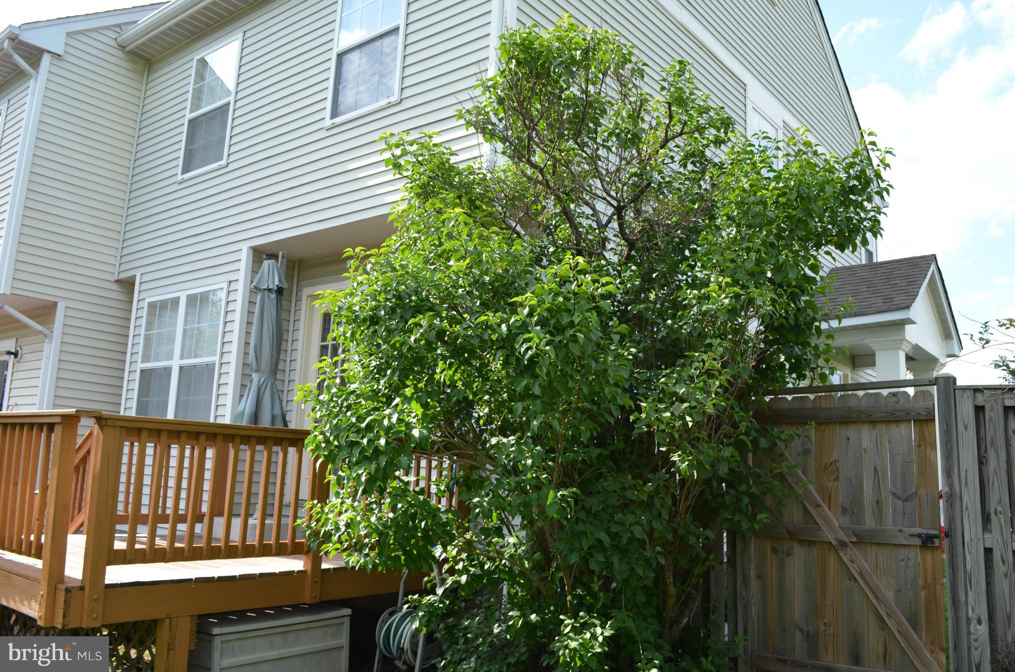 9227 Ridgefield Circle Frederick, MD 21701 - Photo 20 of 30 Exterior (Rear)