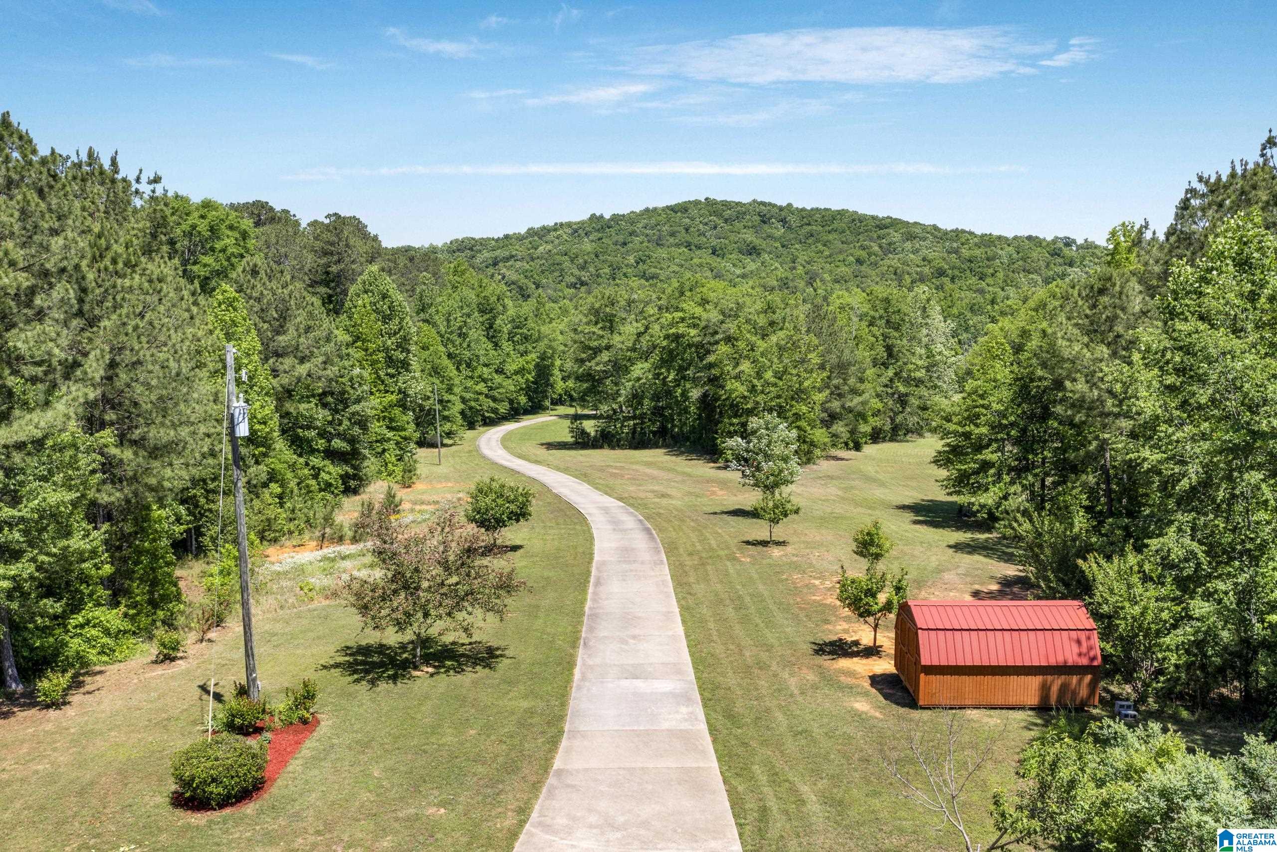 466 Seven Springs Road Wellington, AL 36279 - Photo 62 of 62