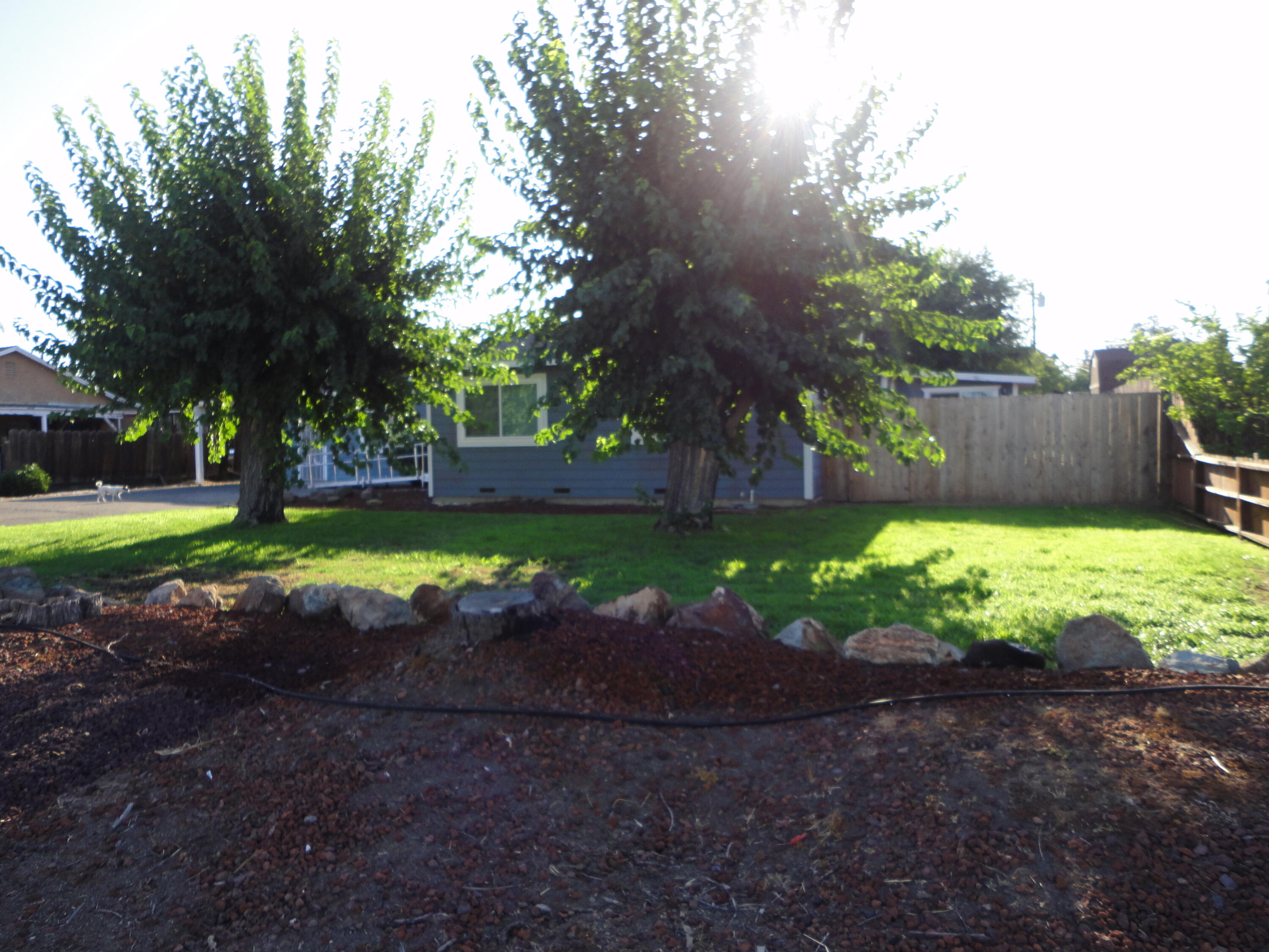 326 Sycamore Avenue Lindsay, CA 93247 - Photo 2 of 47 DSC04791
