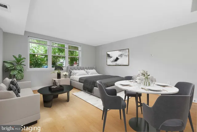 a living room with furniture potted plant and a large window