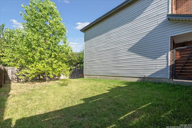 a view of a backyard with plants and large tree