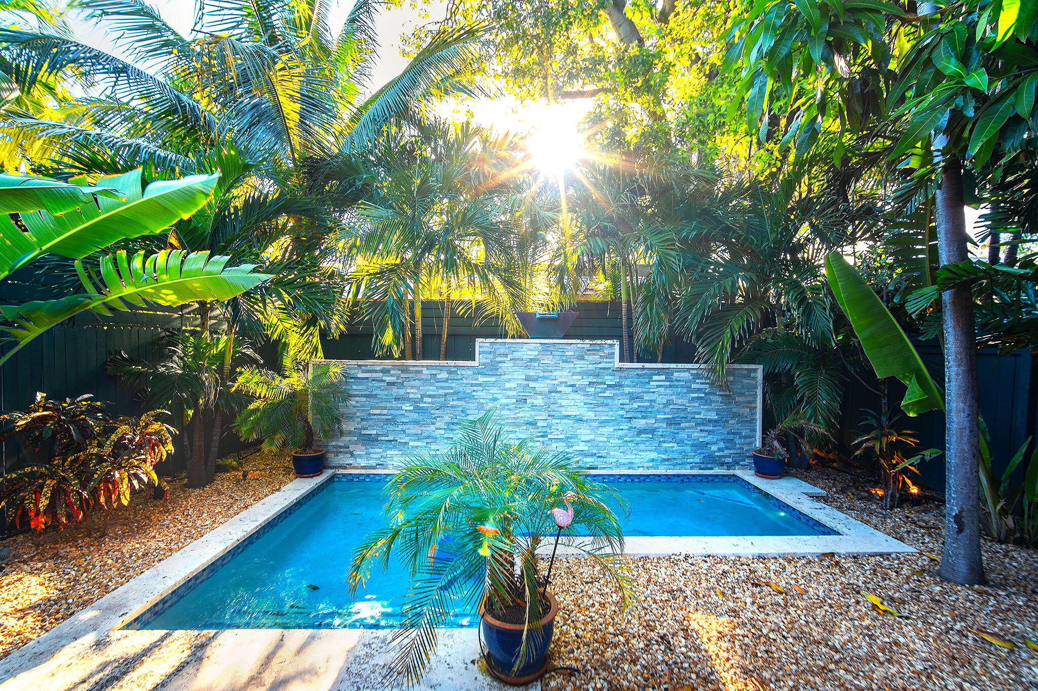 1116 Packer Street Key West, FL 33040 - Photo 12 of 57 a view of a yard with plants