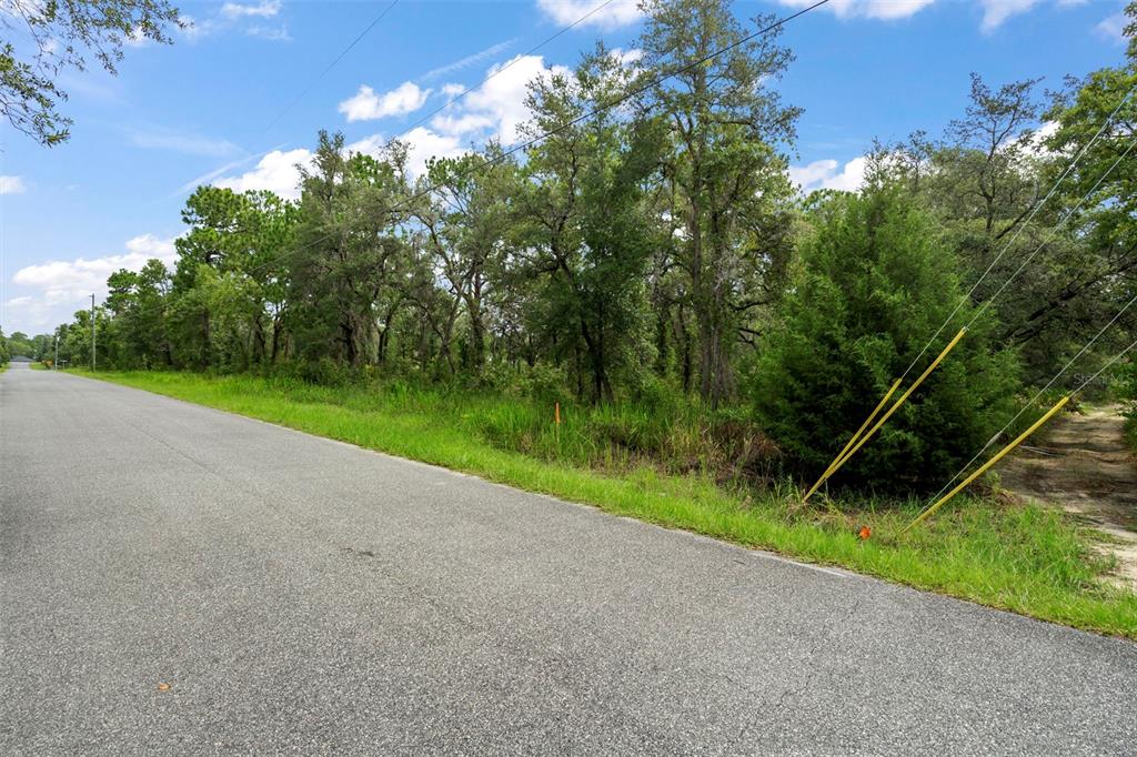 12250 Marvelwood Road Weeki Wachee, FL 34614 - Photo 2 of 16 Gallery Image 2