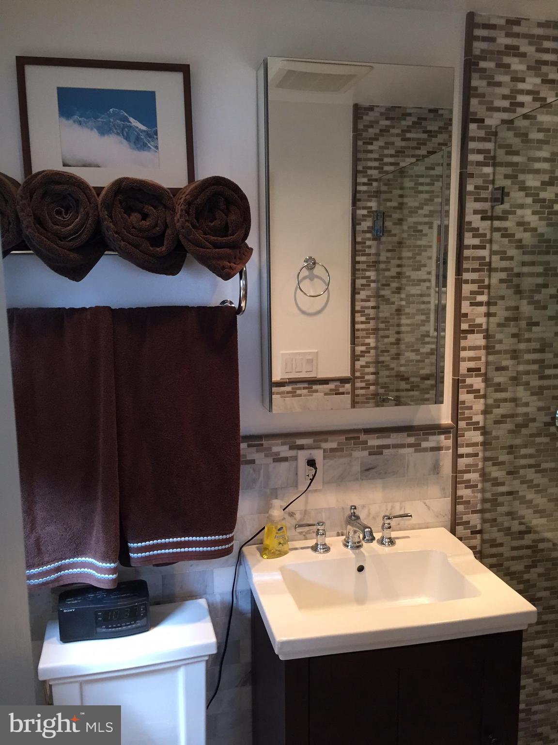 3717 North Glebe Road Arlington, VA 22207 - Photo 8 of 26 a bathroom with a sink and a toilet