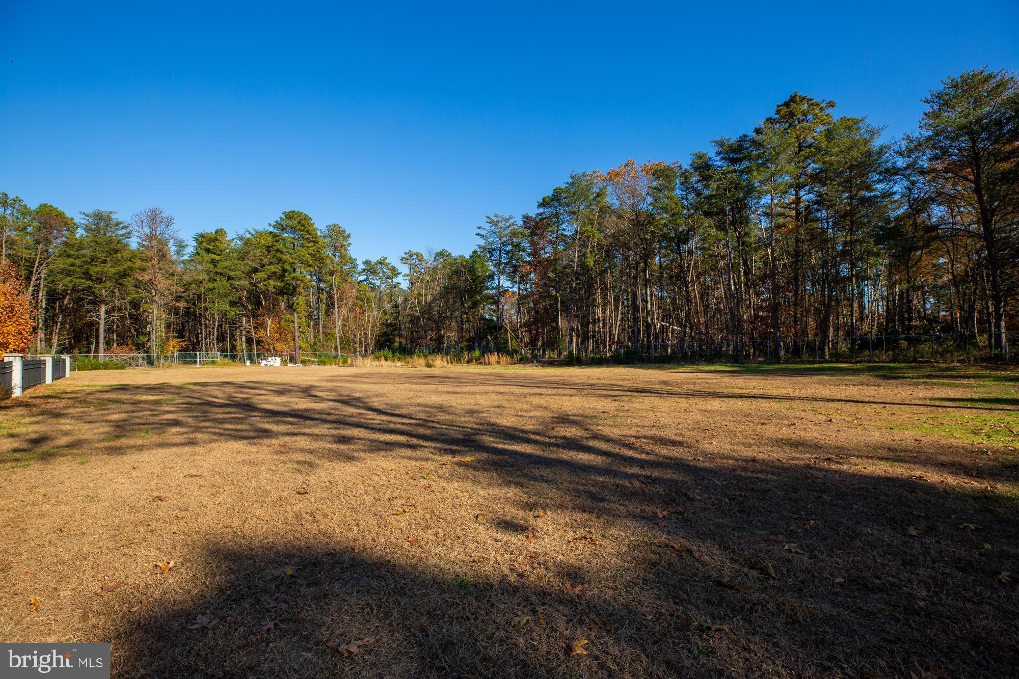 118 Dixontown Road Medford, NJ 08055 - Photo 43 of 44 So much land!