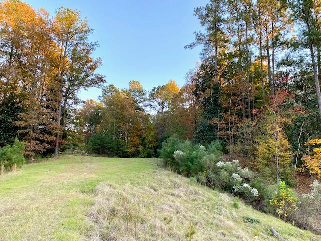 1233 Possum Corner Road Woodville, MS 39669 - Photo 39 of 48 Photo 39