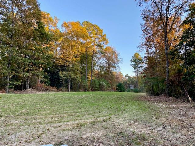 1233 Possum Corner Road Woodville, MS 39669 - Photo 43 of 48 Photo 44