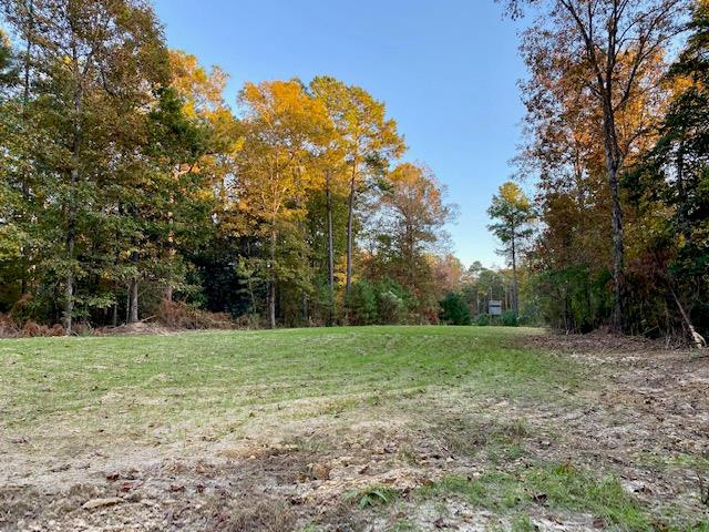 1233 Possum Corner Road Woodville, MS 39669 - Photo 44 of 48 Photo 45