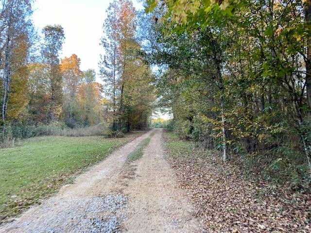 1233 Possum Corner Road Woodville, MS 39669 - Photo 46 of 48 Photo 47