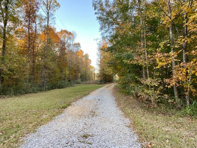 1233 Possum Corner Road Woodville, MS 39669 - Photo 47 of 48 Photo 48