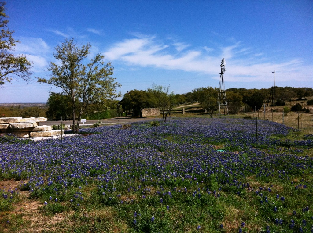 730 Clear Rock Ranch Road Johnson City, TX 78636 - Photo 1 of 1 Gallery Image 1