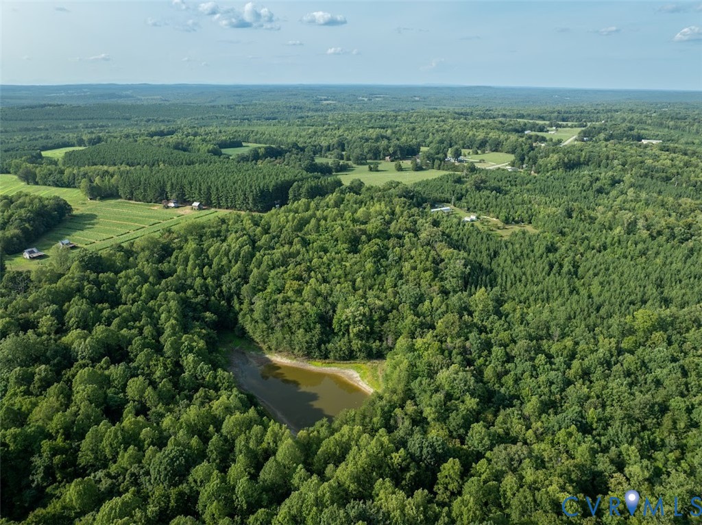 0 Riceville Road Java, VA 24565 - Photo 10 of 25 Gallery Image 10