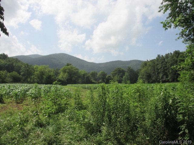 260 Old River Road Marion, NC 28752 - Photo 5 of 44 Gallery Image 5