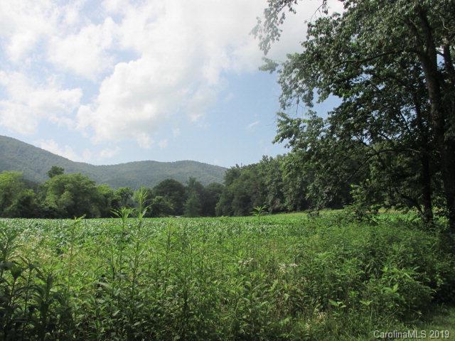 260 Old River Road Marion, NC 28752 - Photo 8 of 44 Gallery Image 8