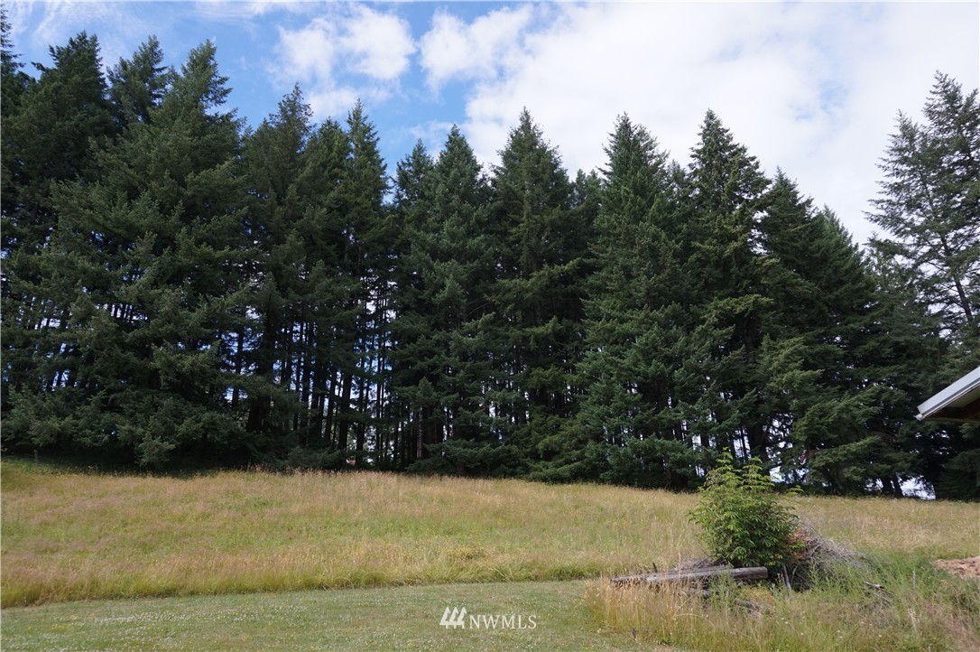 708 Rose Valley Road Kelso, WA 98626 - Photo 24 of 25 Gallery Image 24