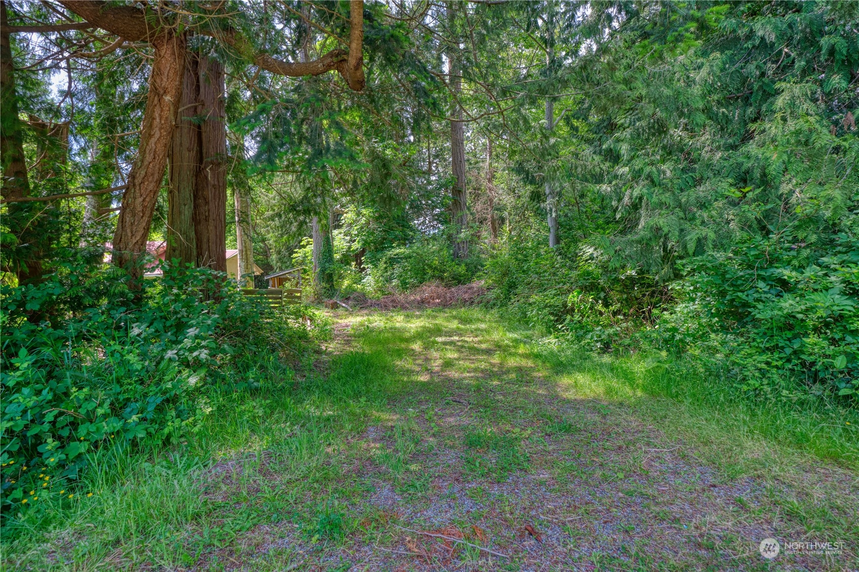 323 Mill Road Point Roberts, WA 98281 - Photo 24 of 26 a view of outdoor space and green space