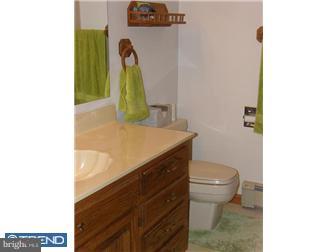 3851 Barberry Road Center Valley, PA 18034 - Photo 11 of 12 Bathroom