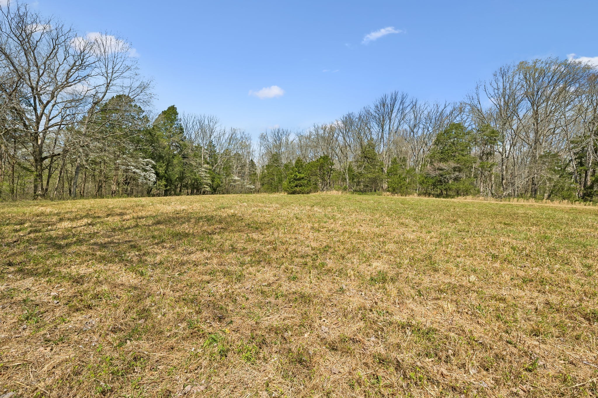 0 Turney Road Auburntown, TN 37016 - Photo 12 of 46 Gallery Image 12