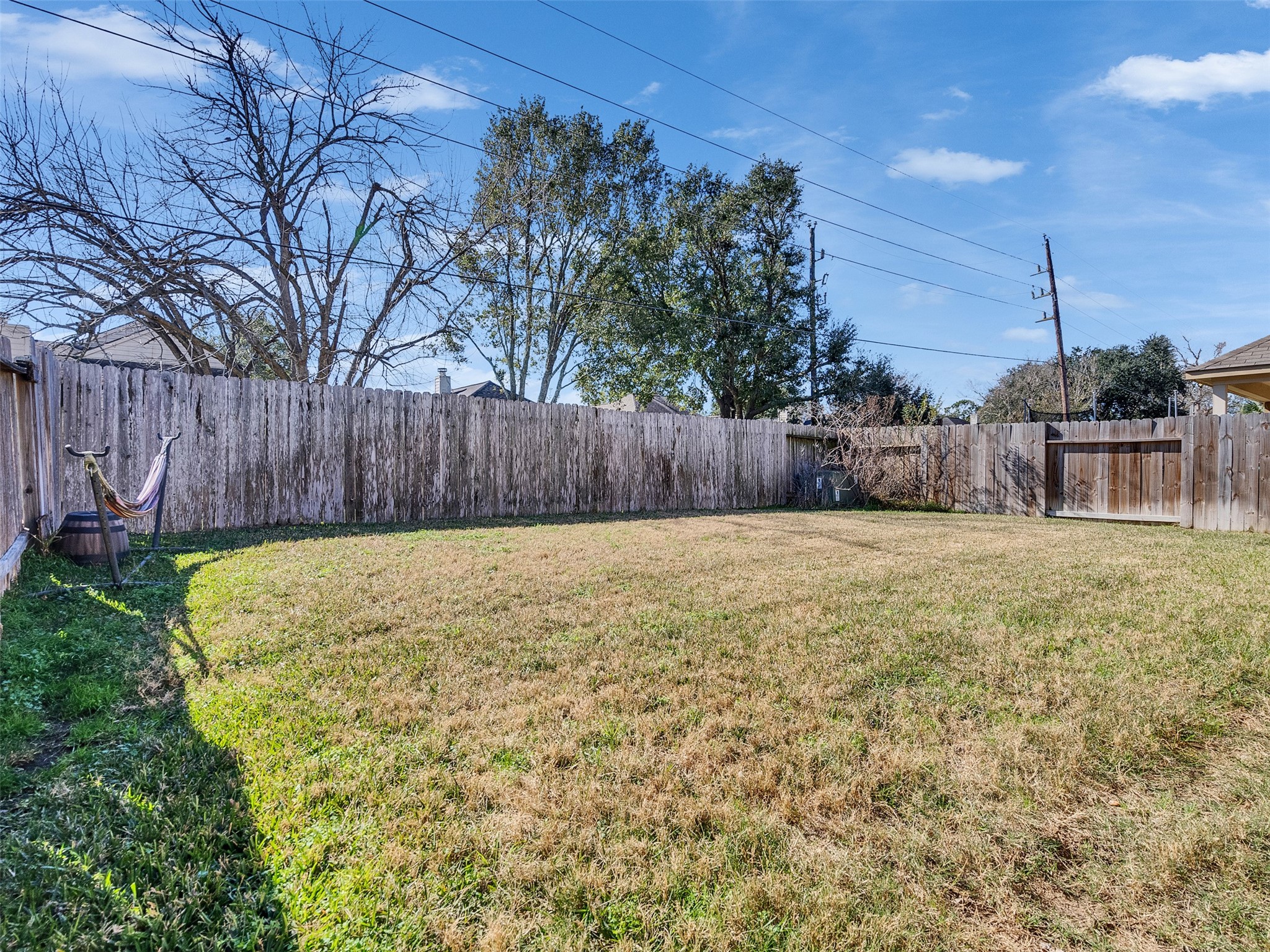 20043 Sunshine Ridge Lane Cypress, TX 77429 - Photo 15 of 16 a view of backyard with tall trees