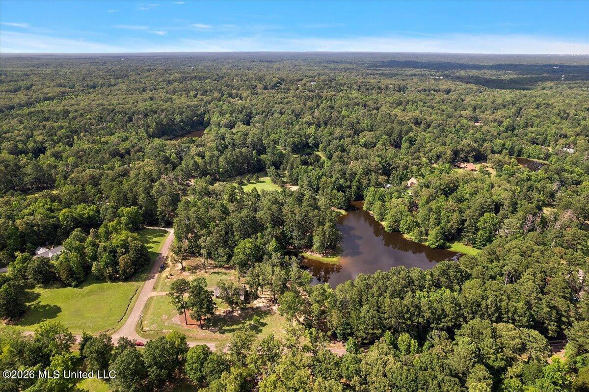 402 Springwood Circle Terry, MS 39170 - Photo 42 of 49 42-IDJI_0018
