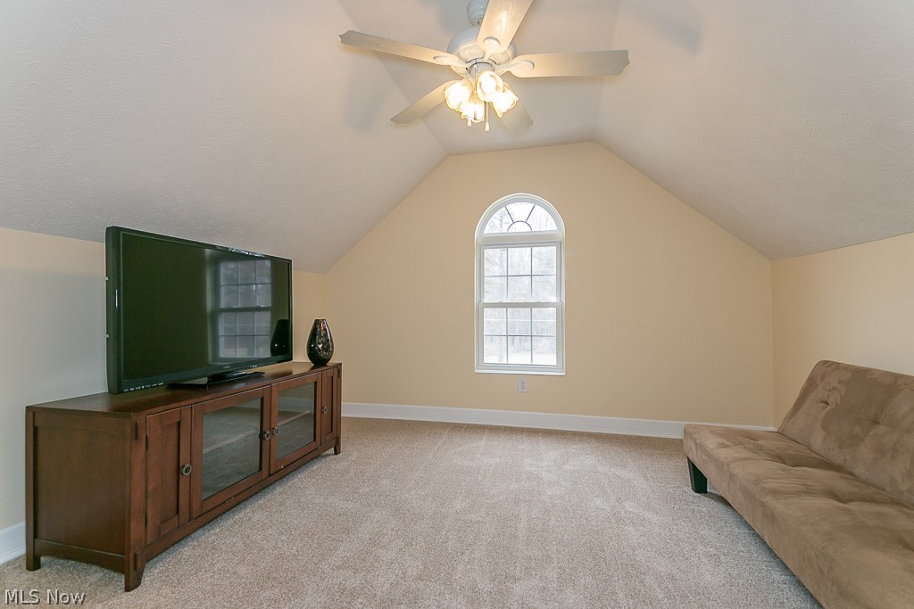 4830 Lockwood Road Perry, OH 44081 - Photo 25 of 34