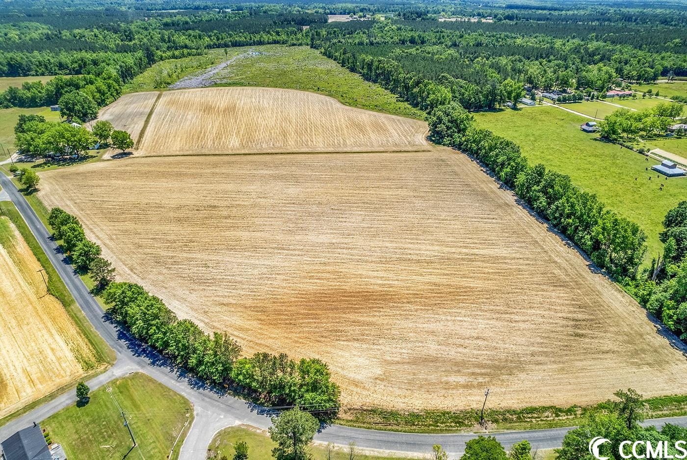 Tbd Fork Of Swamp Road Galivants Ferry, SC 29544 - Photo 1 of 15 Gallery Image 1