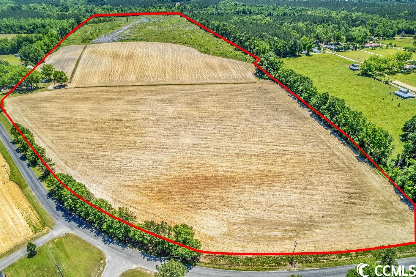 Tbd Fork Of Swamp Road Galivants Ferry, SC 29544 - Photo 15 of 15 Gallery Image 15