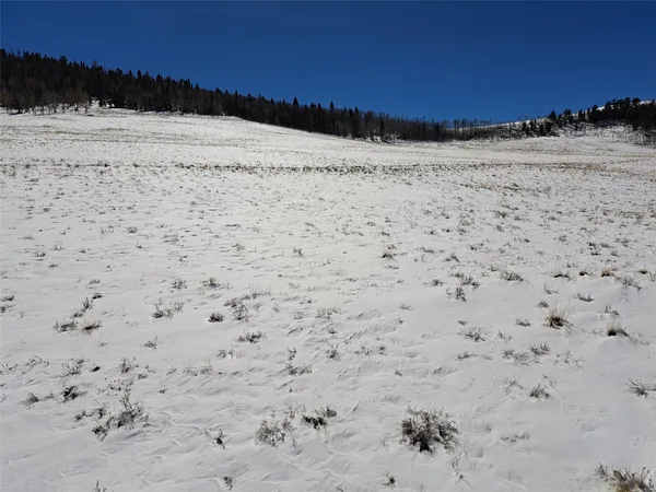 $16,000 | 0 Jicarilla Trail, Hartsel, CO 80449