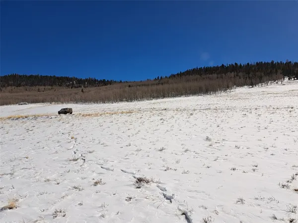 $16,000 | 0 Jicarilla Trail, Hartsel, CO 80449